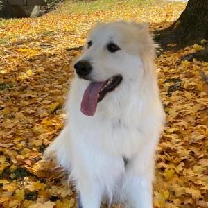 Meet your Posher, Cynthia